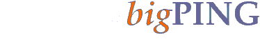 bigping.de